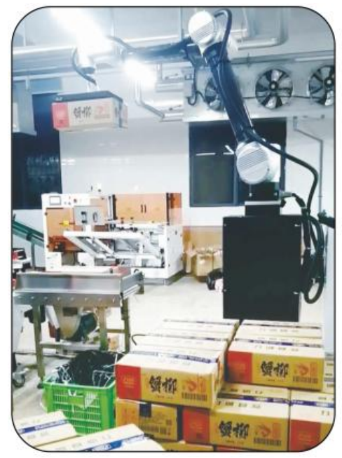 หุ่นยนต์จัดเรียงพาเลทแบบร่วมมือ AI Ai-RMD30 (≤9 กล่อง/นาที) – โซลูชันการจัดเรียงพาเลทอัจฉริยะที่ยืดหยุ่นสำหรับหลายสถานการณ์